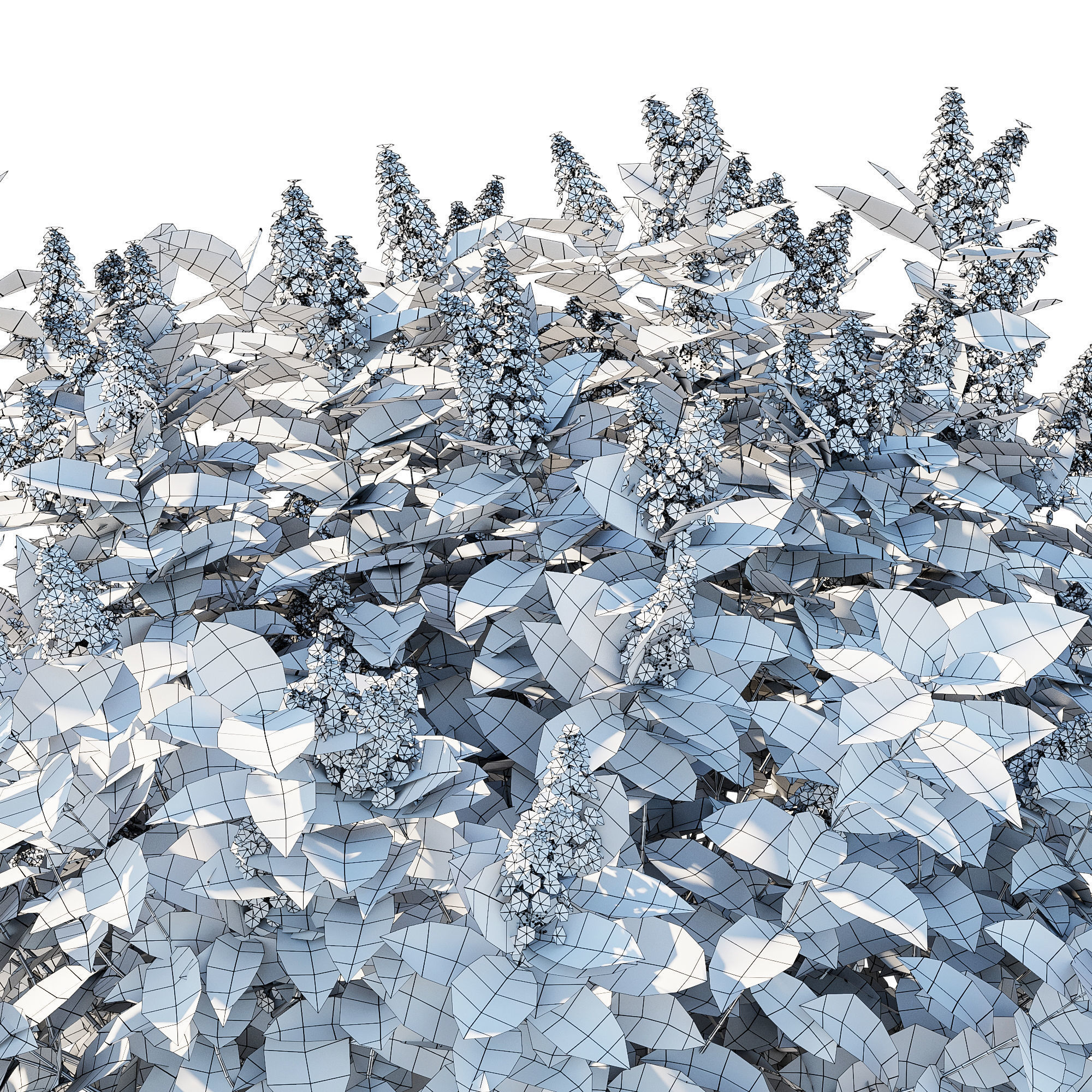 Hydrangea Paniculata Tardiva 3D model_8