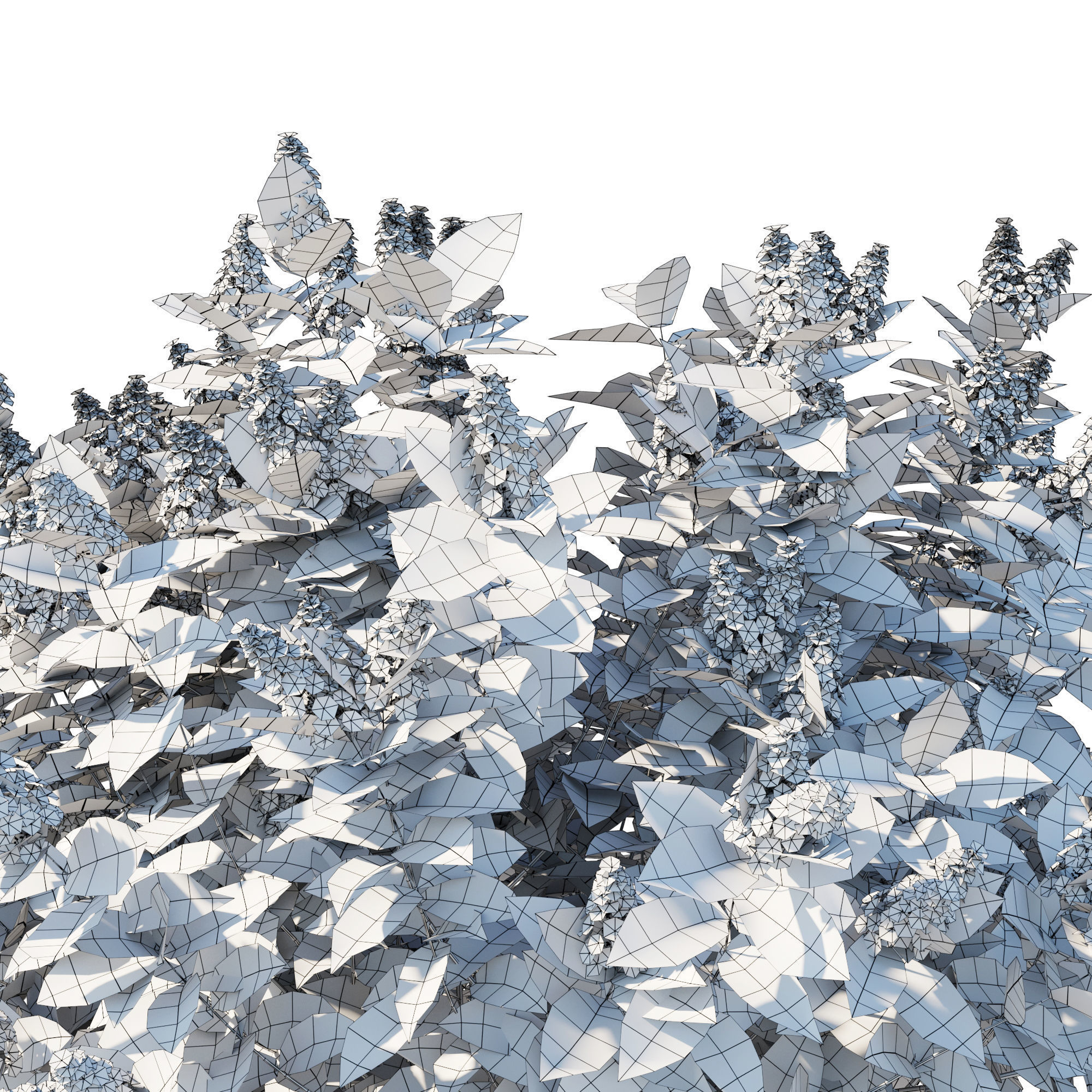 Hydrangea Paniculata Tardiva Pink02 3D model_4