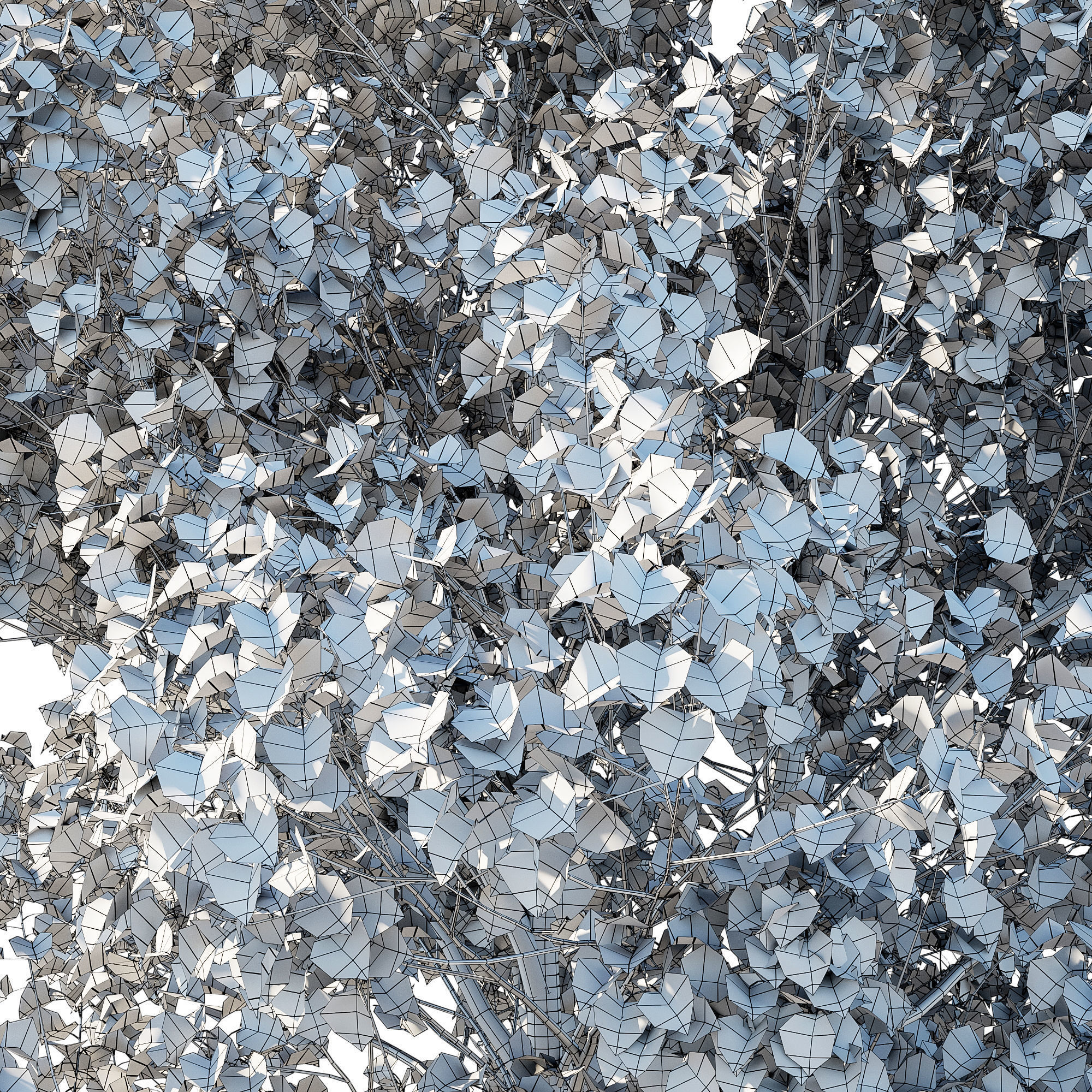 Calleryana Wine 02 3D model_3