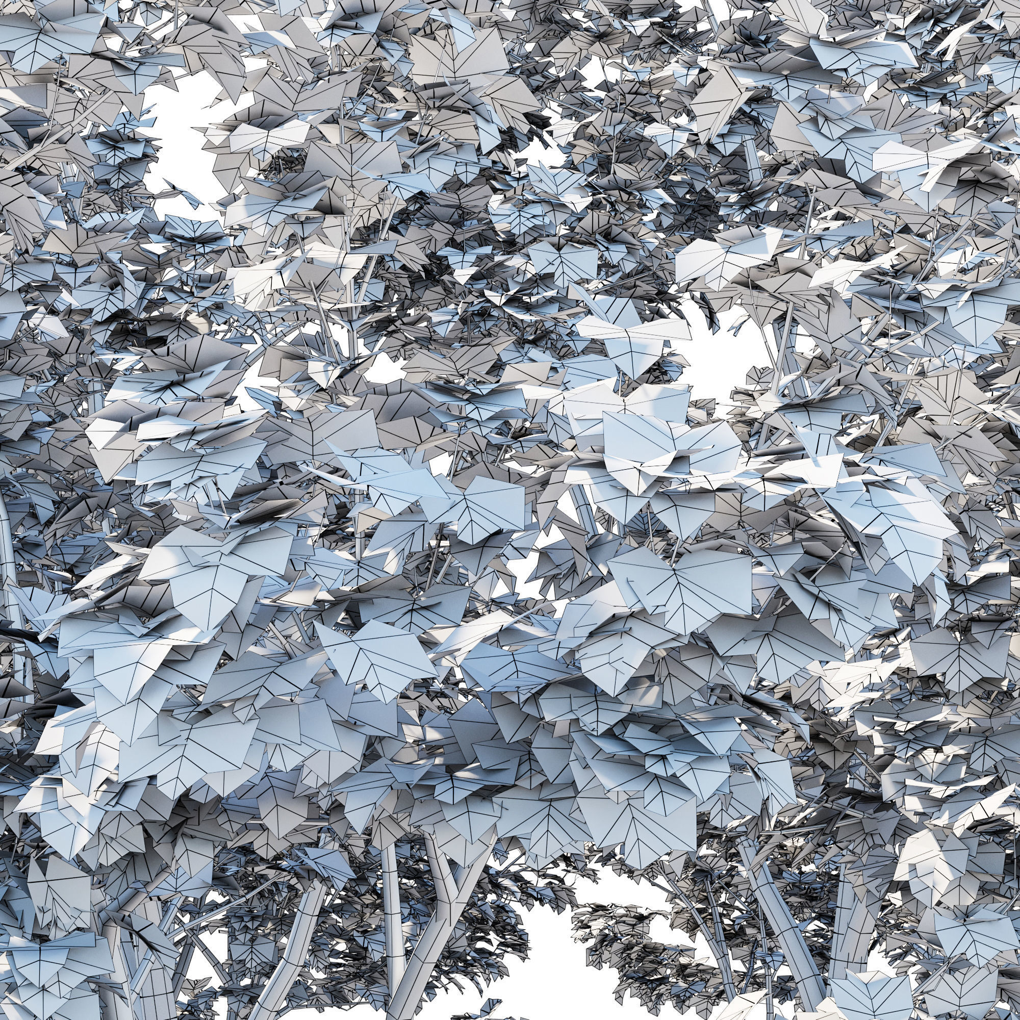 Platanus Occidentalis 04 3D model_3