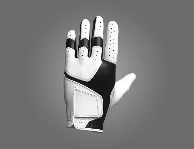 Gloves 3D Model