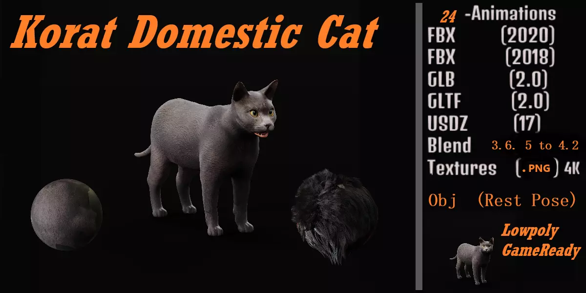 Korat Cat Low-poly 3D model