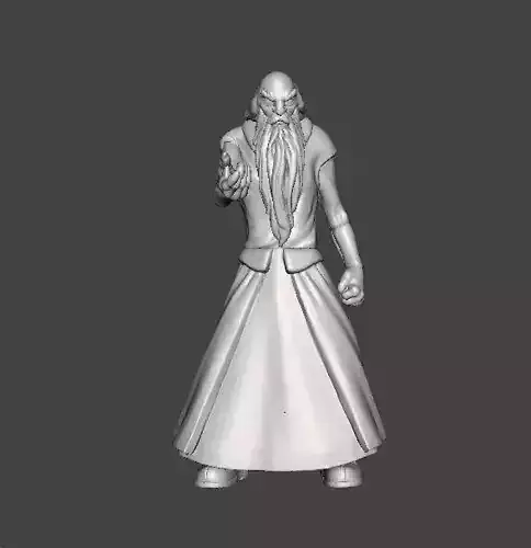 WIZARDS BLACKWOLF MINIATURE MODEL FANTASY DND RPG 3D print model