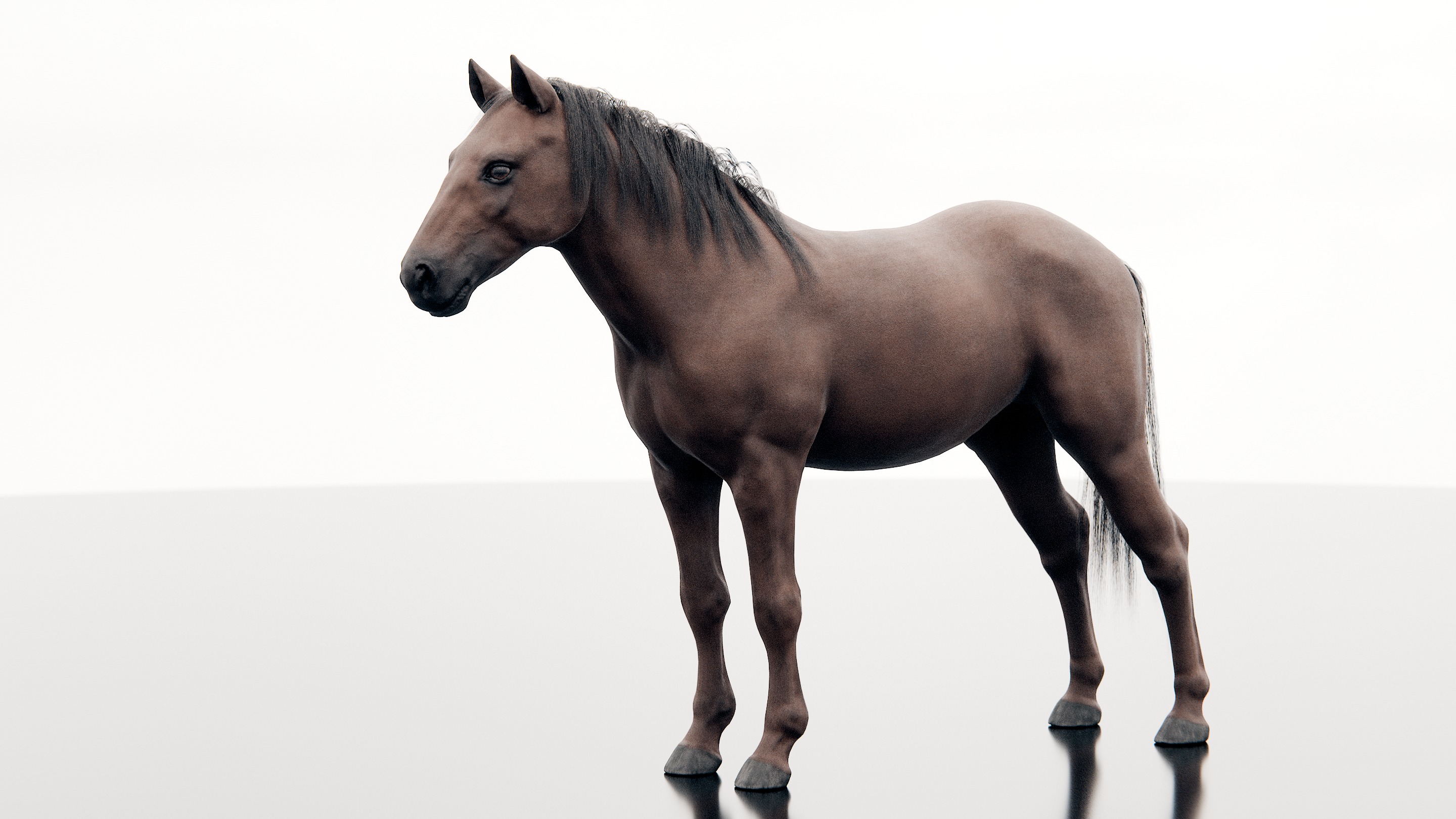 Horse - Realistic Low-poly 3D model_4