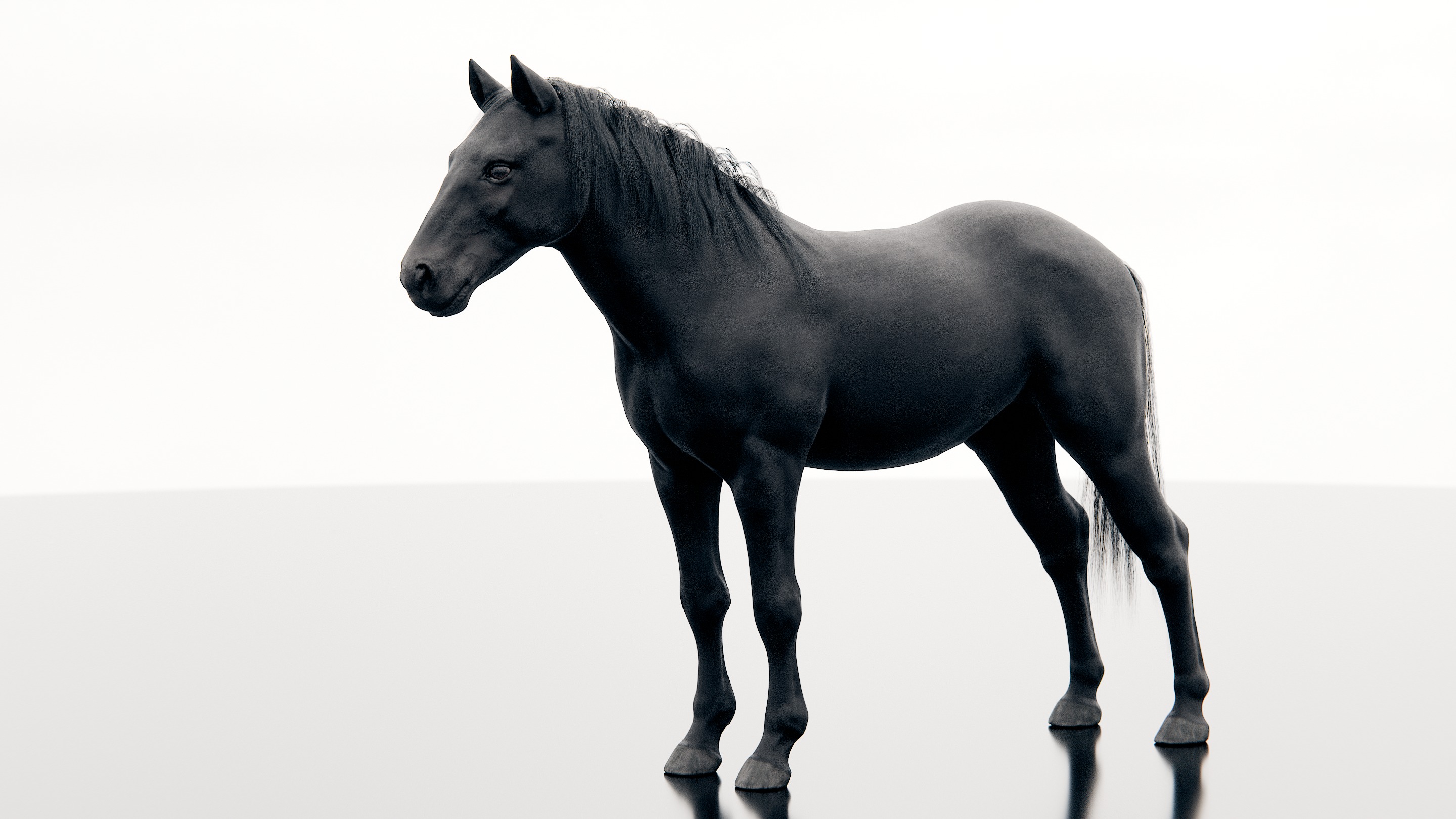 Horse - Realistic Low-poly 3D model_6