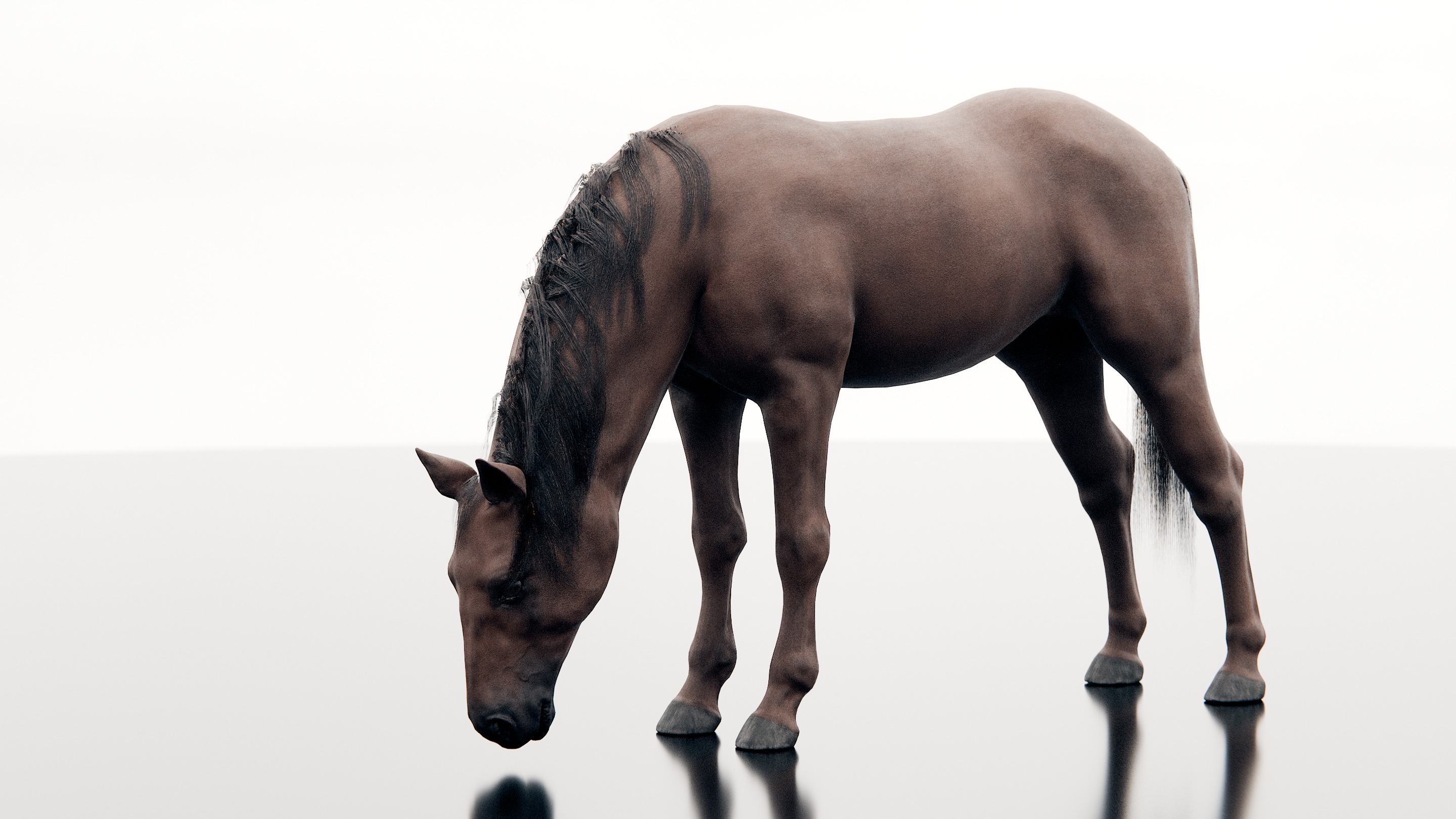 Horse - Realistic Low-poly 3D model_7