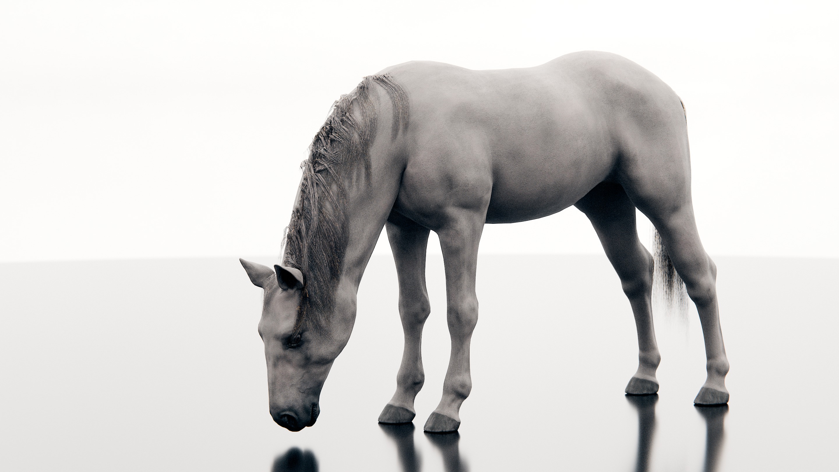 Horse - Realistic Low-poly 3D model_11