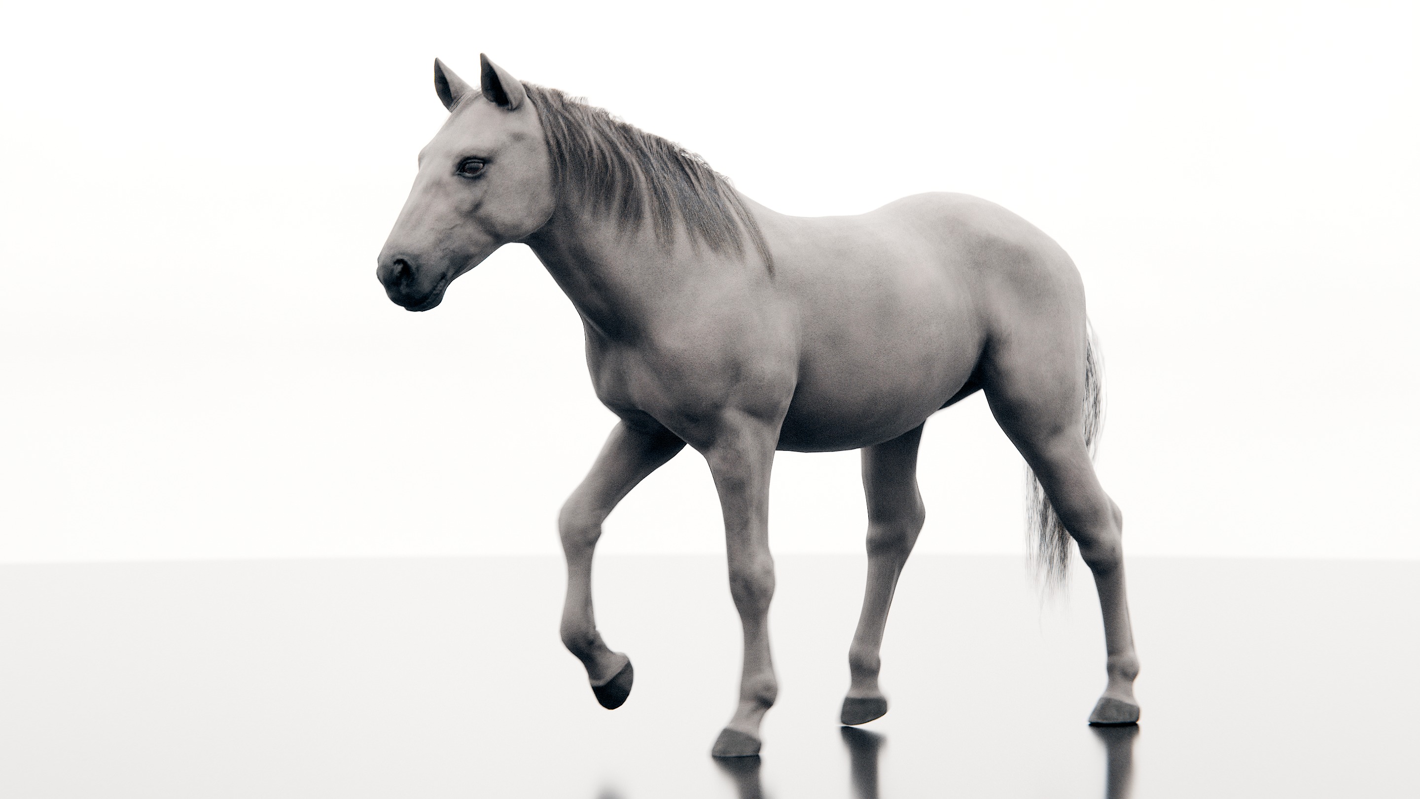 Horse - Realistic Low-poly 3D model_13
