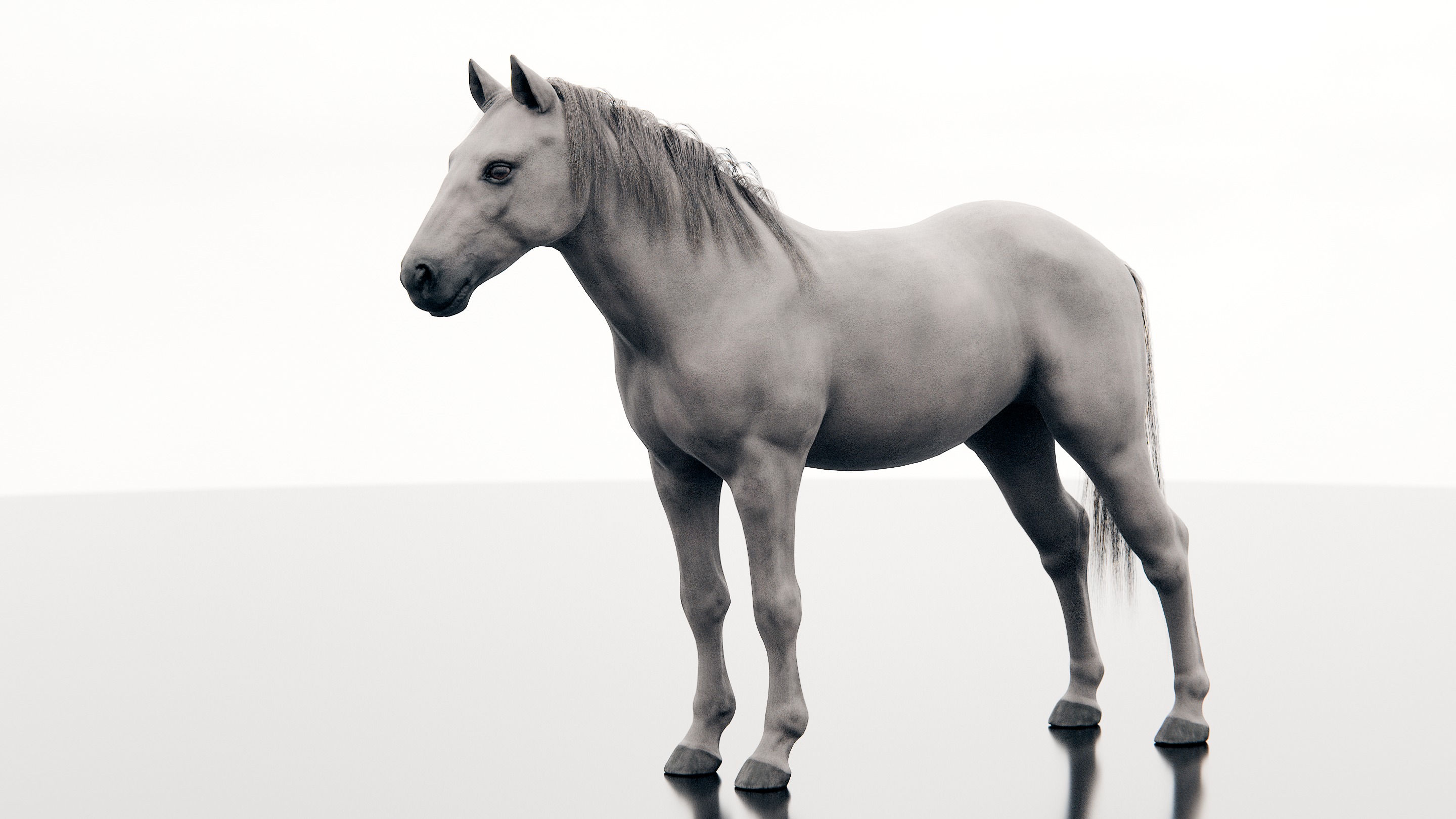 Horse - Realistic Low-poly 3D model_5
