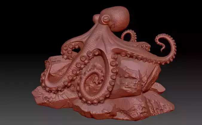 Octopus