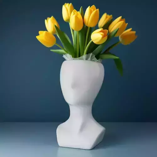 Human Face Vase - Art Home Decoration