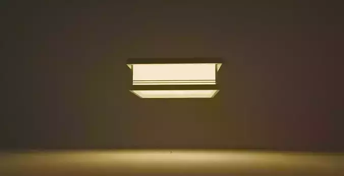 Japanese ceiling lamp 