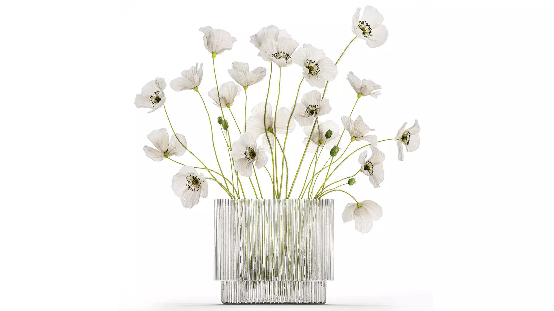 bouquet of white wild flowers in a vase Poppy 450 3D model
