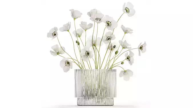  bouquet of white wild flowers in a vase Poppy 450 3D model
