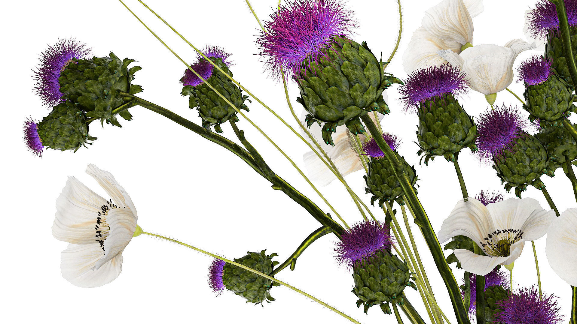 Bouquet Of White Wild Flowers in a vase Poppy Thistle 451 3D model_5