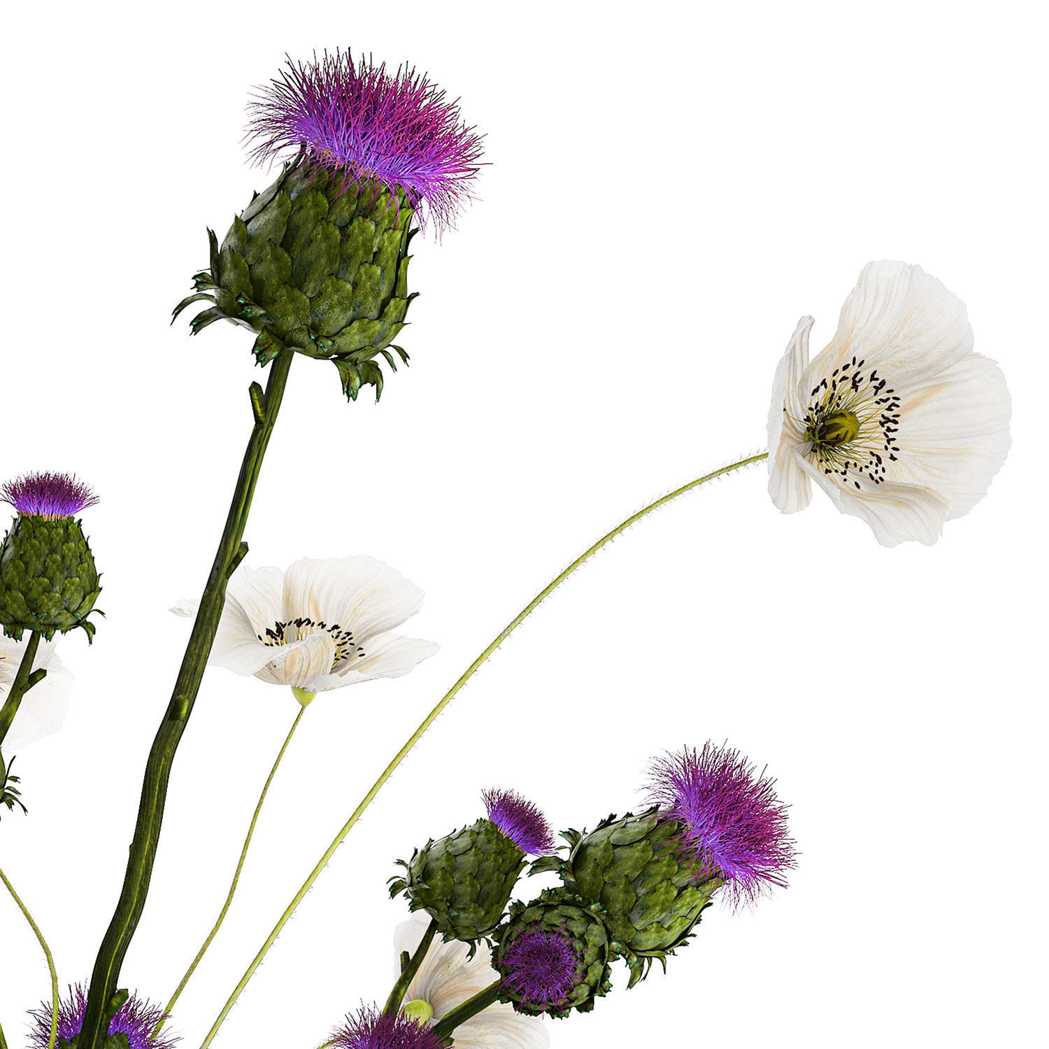 Bouquet Of White Wild Flowers in a vase Poppy Thistle 451 3D model_14