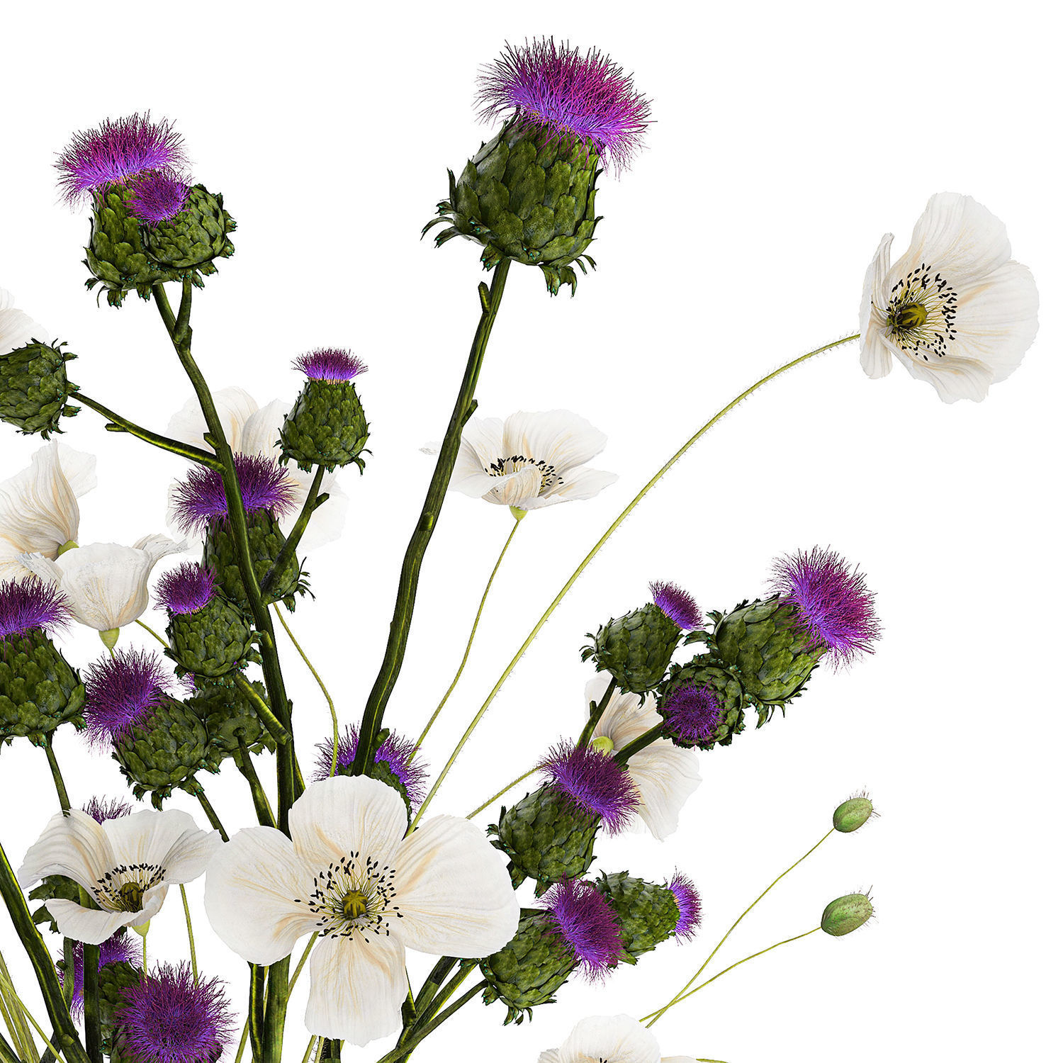 Bouquet Of White Wild Flowers in a vase Poppy Thistle 451 3D model_10