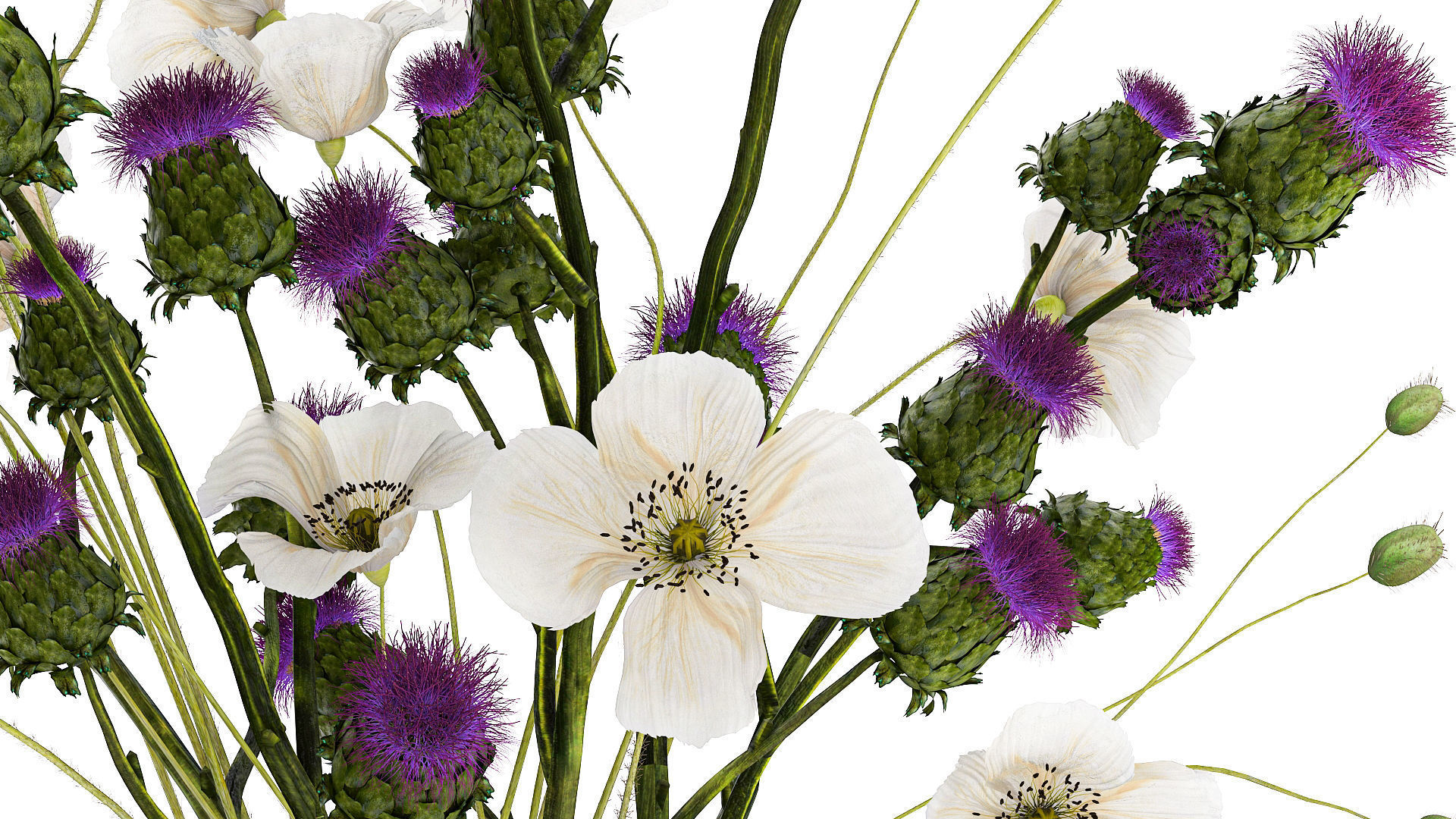 Bouquet Of White Wild Flowers in a vase Poppy Thistle 451 3D model_6
