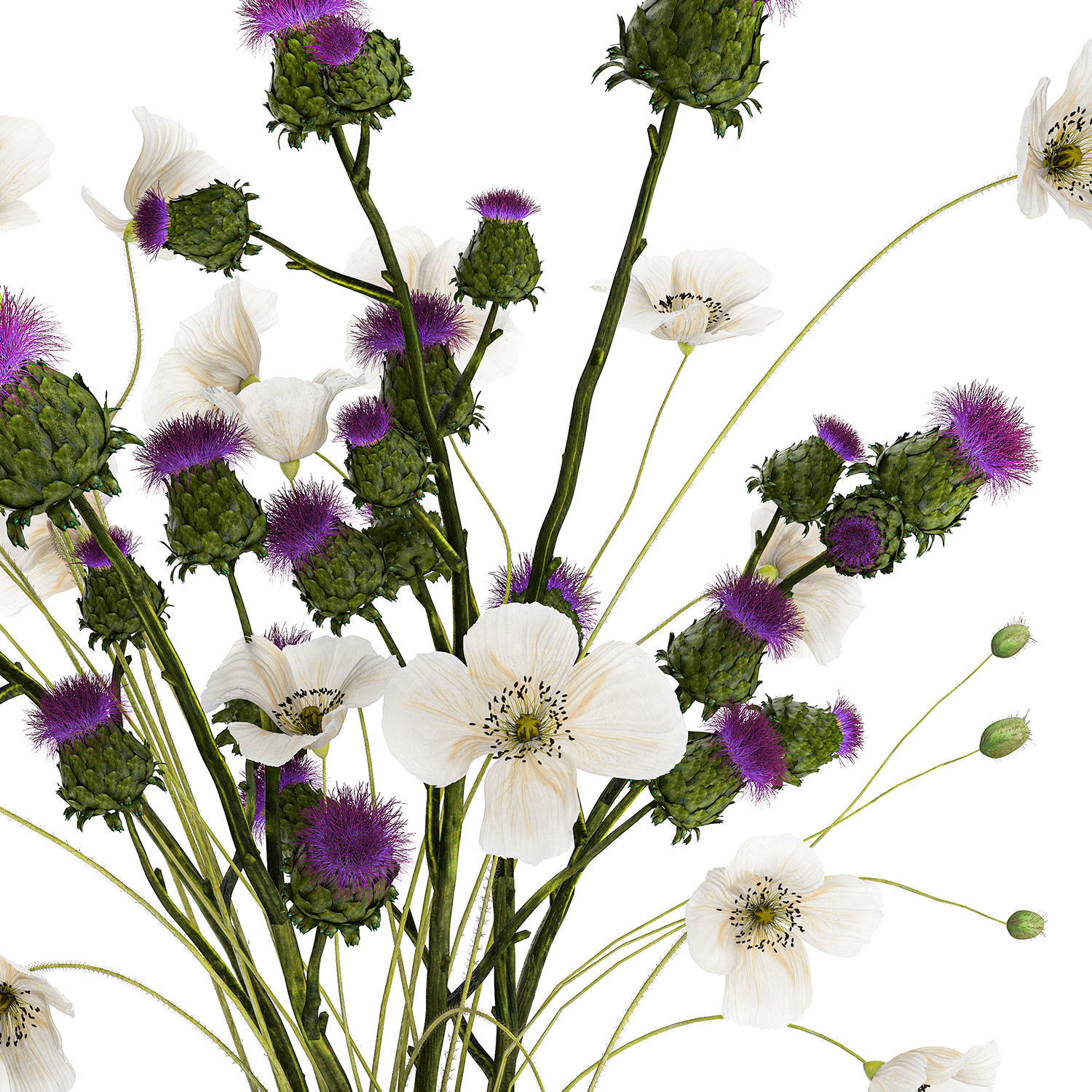 Bouquet Of White Wild Flowers in a vase Poppy Thistle 451 3D model_13