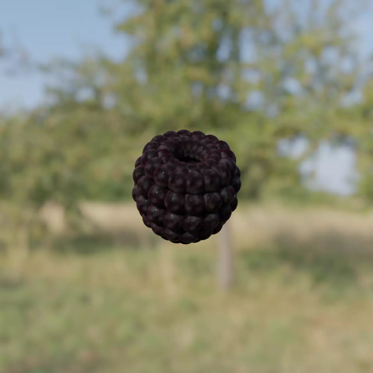 Realistic Black Raspberry Fruit 3D model_0