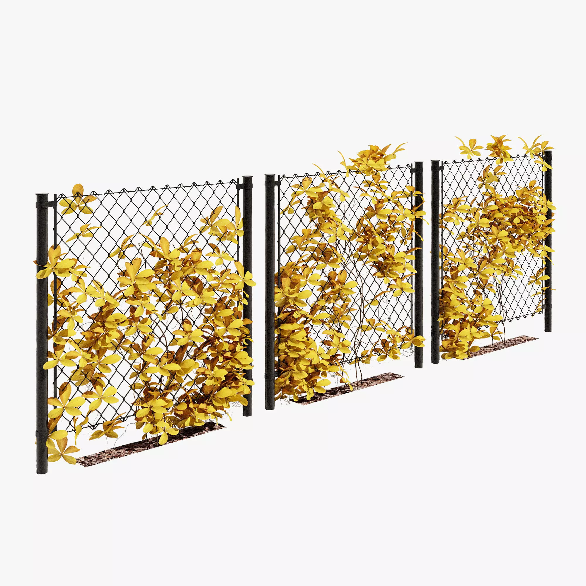 ivy on fence one 3D model