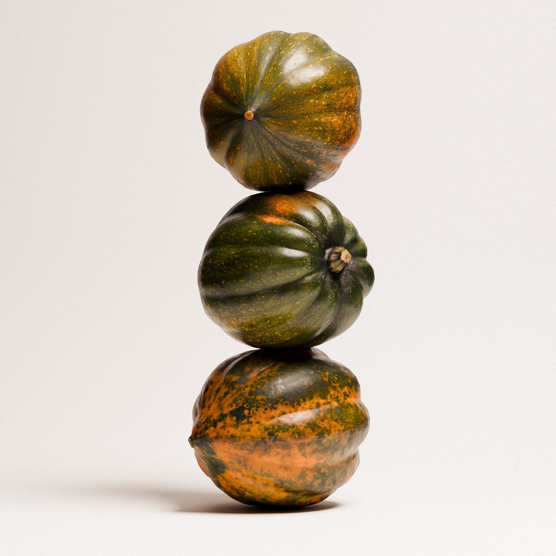 Acorn Squash 02 3D model_1