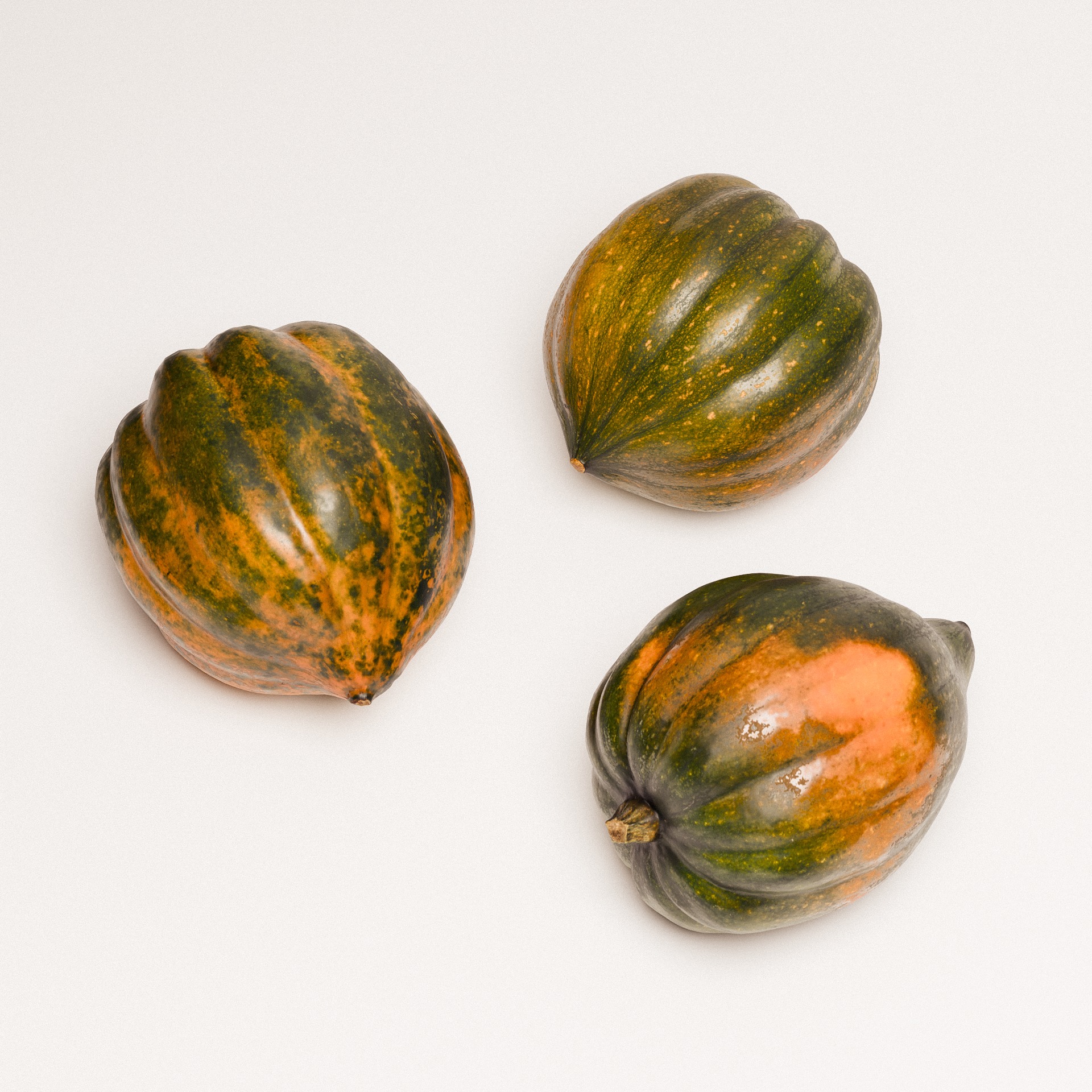 Acorn Squash 02 3D model_4