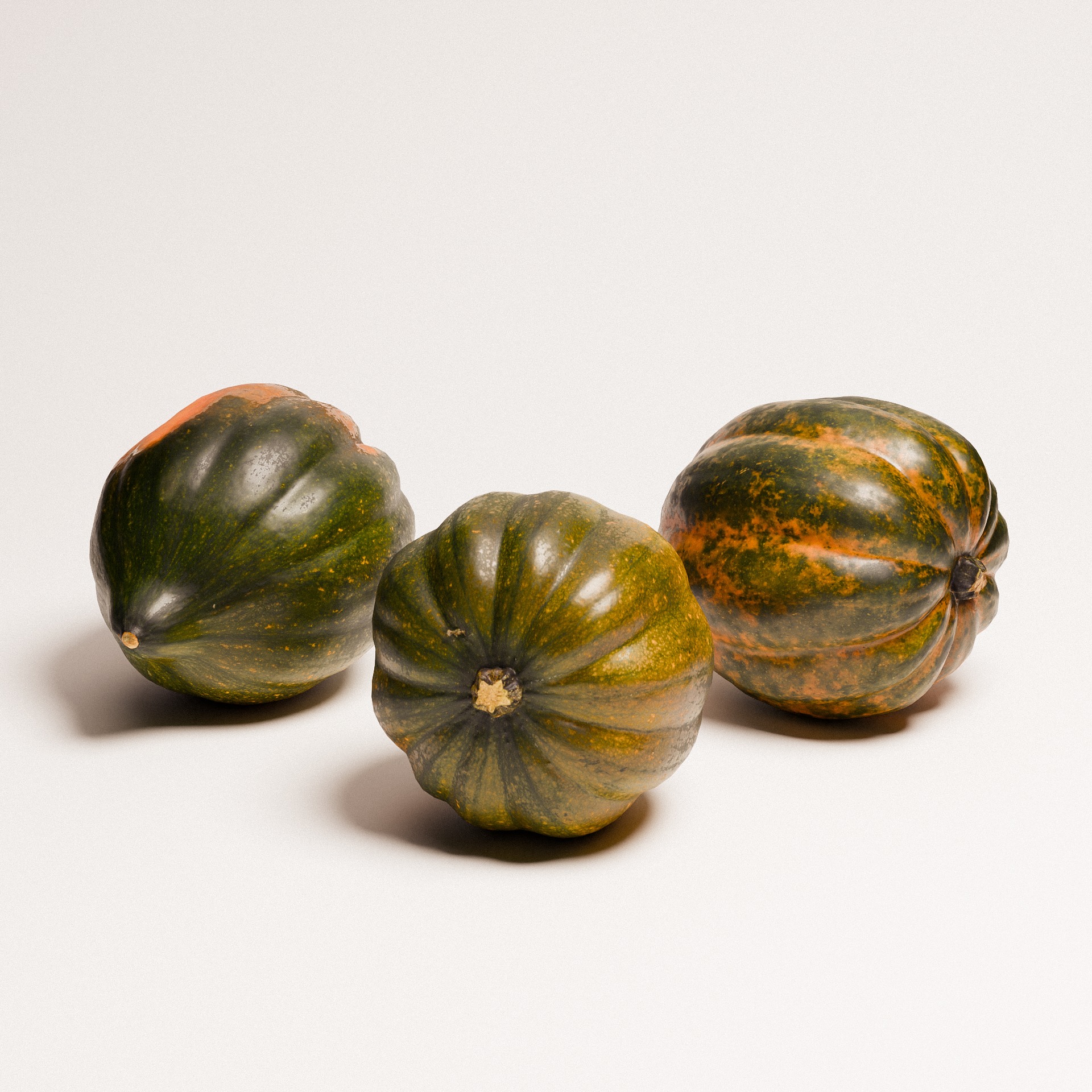 Acorn Squash 02 3D model_3