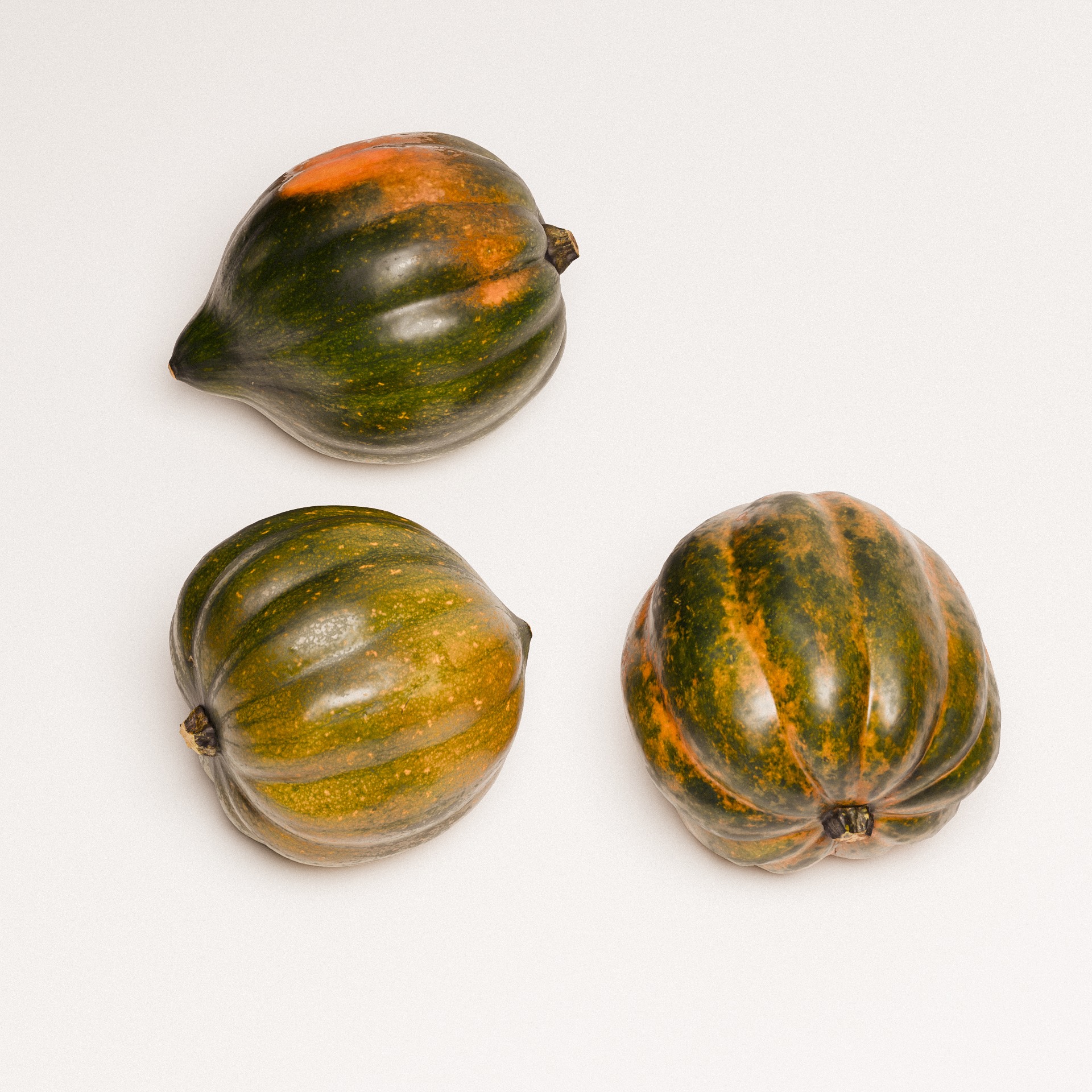 Acorn Squash 02 3D model_5