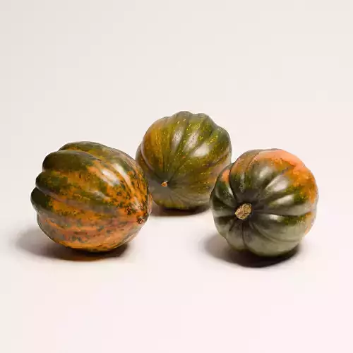 Acorn Squash 02 3D model