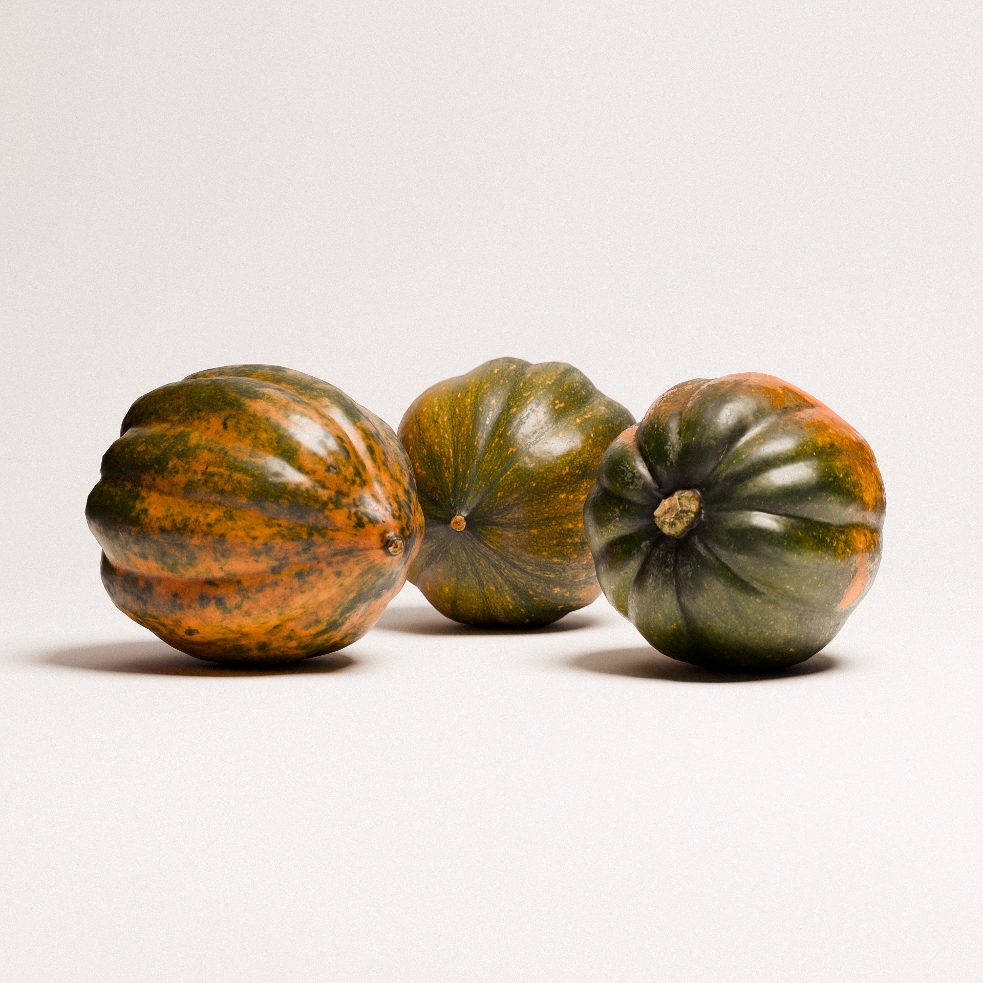 Acorn Squash 02 3D model_2