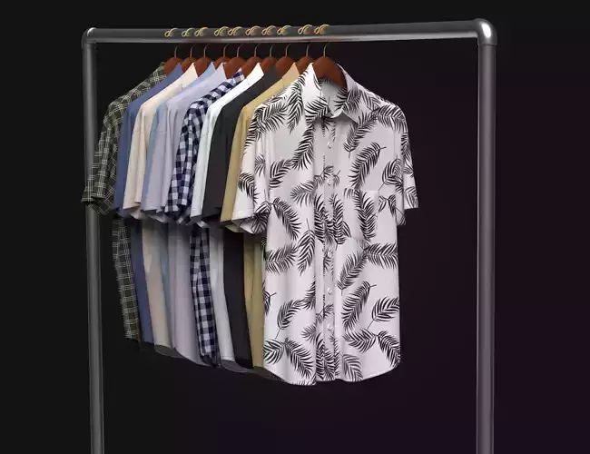 Shirt On Steel Hanger