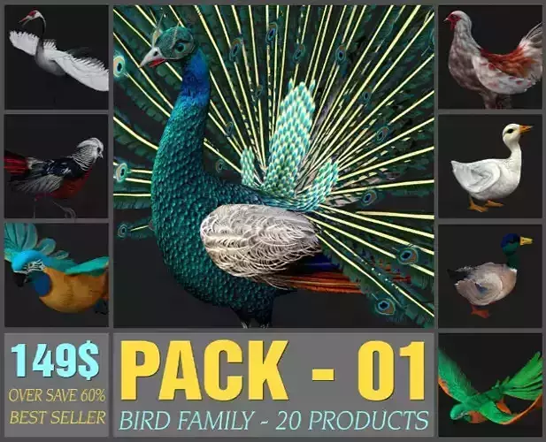 Pack-01-Bird Family