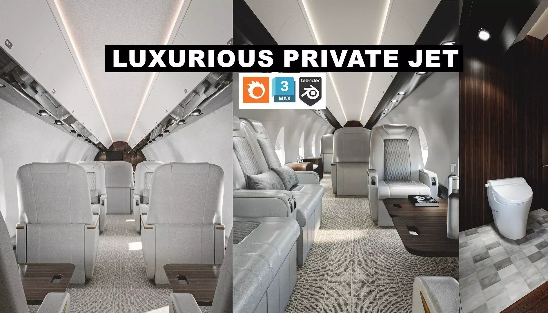 Luxury Private Jet Interior 3D model_0