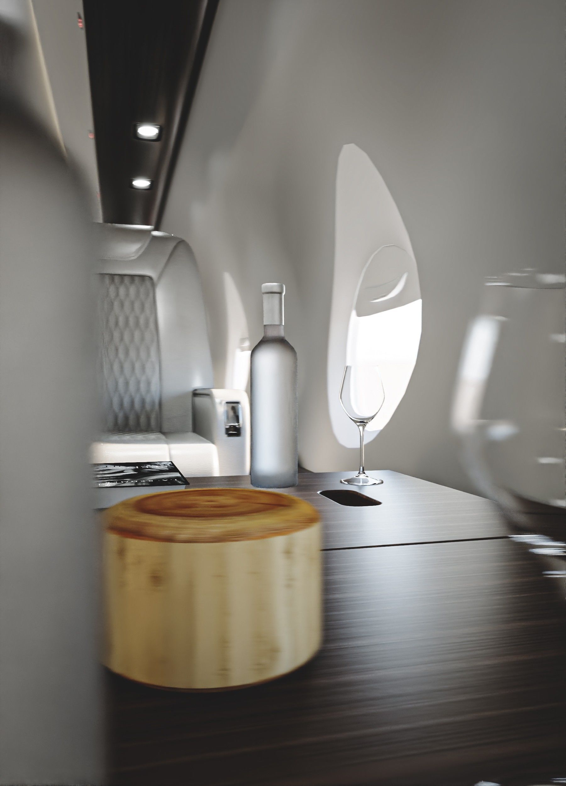 Luxury Private Jet Interior 3D model_9