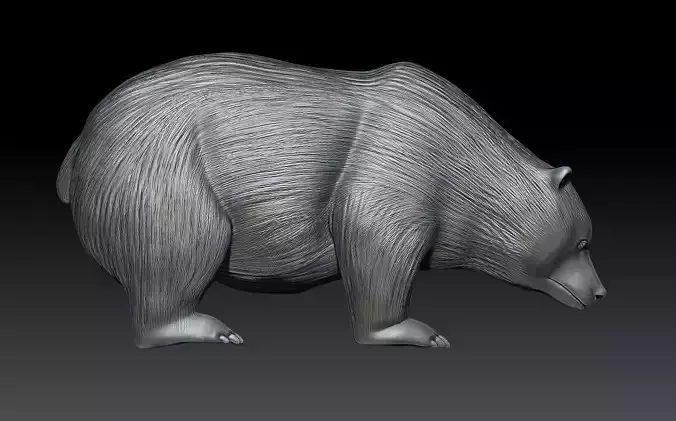 BEAR MODEL