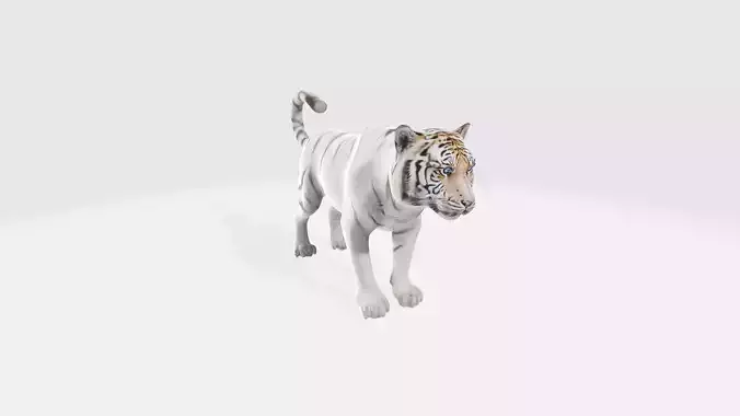 White Tiger 3D Model - Animated and Rigged 3D model