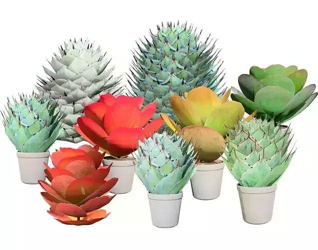 Kalanchoe and Agave 3D Model Pack Low-poly 3D model