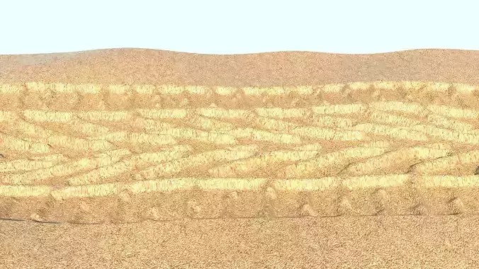 Car Tire Track On The Sand 3D model