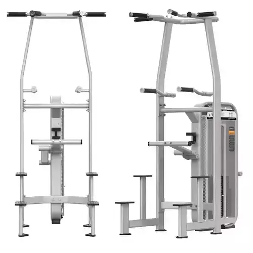  E7009 DUAL DIP CHIN ASSIST DHZ fitness equipment