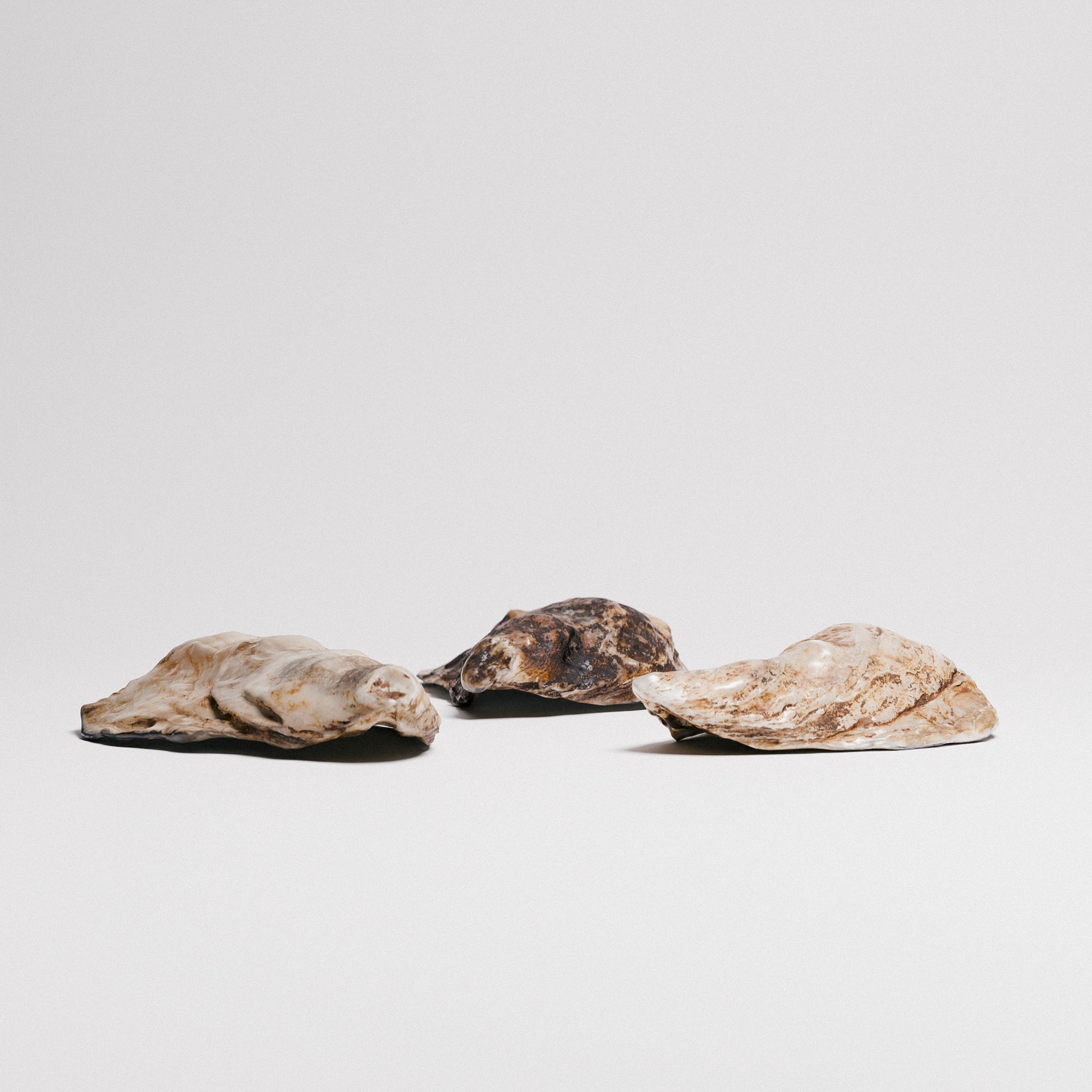 Oyster Shells 3D model_2