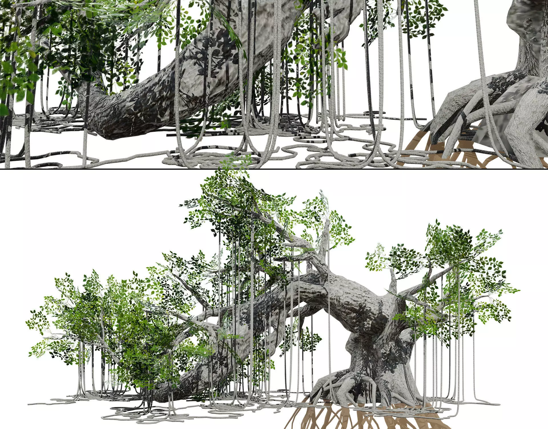 Rigged Jungle Tree 3D Model Low-poly 3D model_0