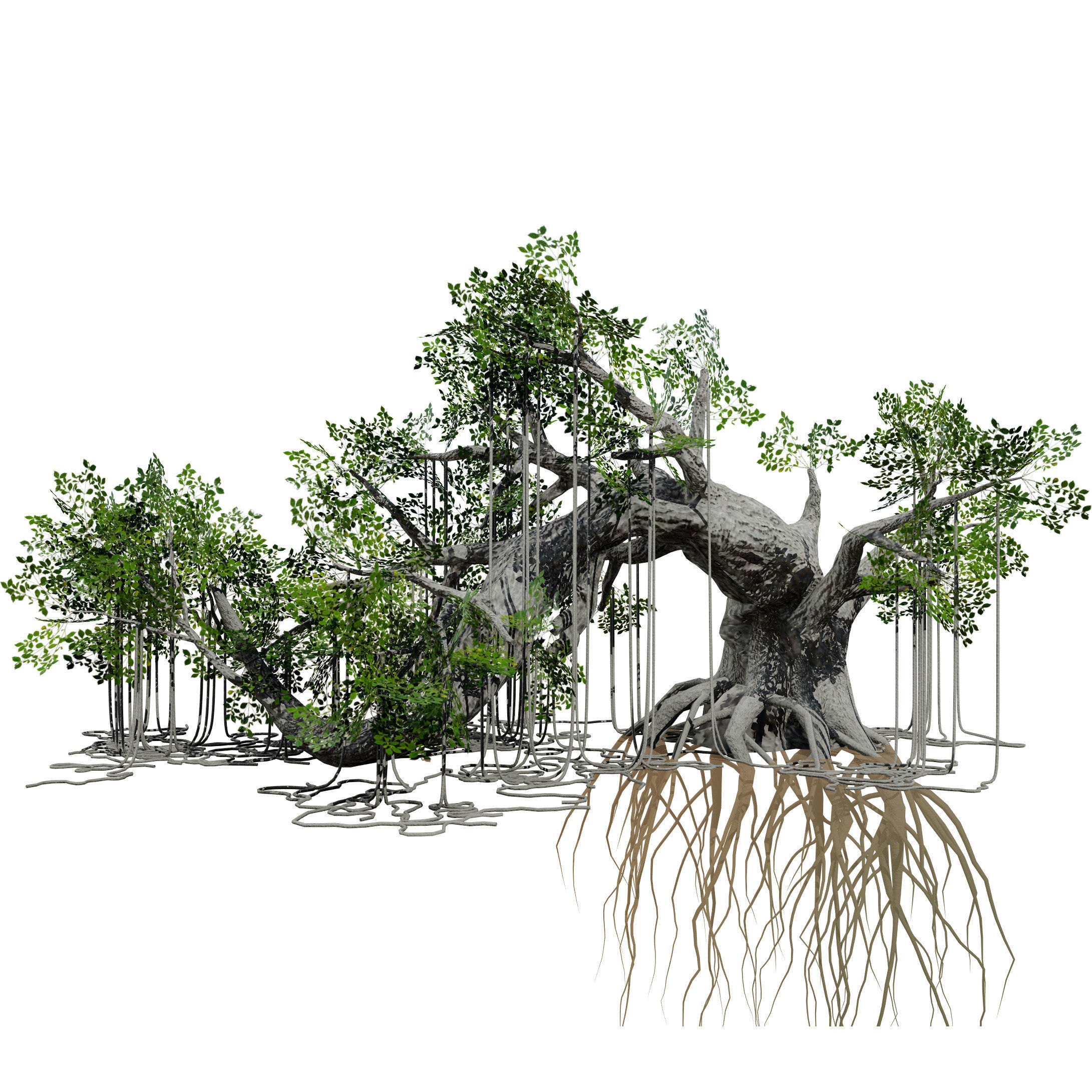 Rigged Jungle Tree 3D Model Low-poly 3D model_8