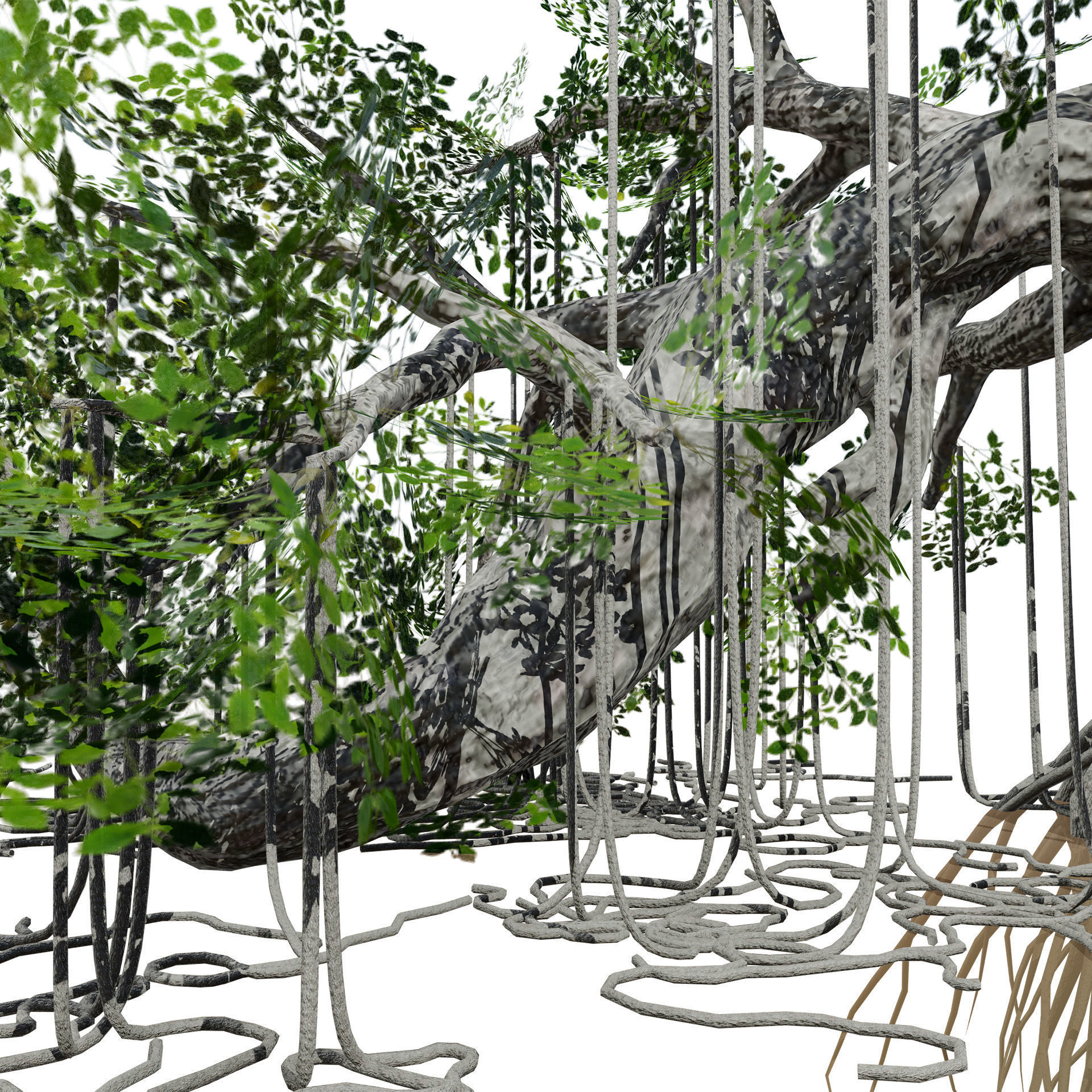 Rigged Jungle Tree 3D Model Low-poly 3D model_7