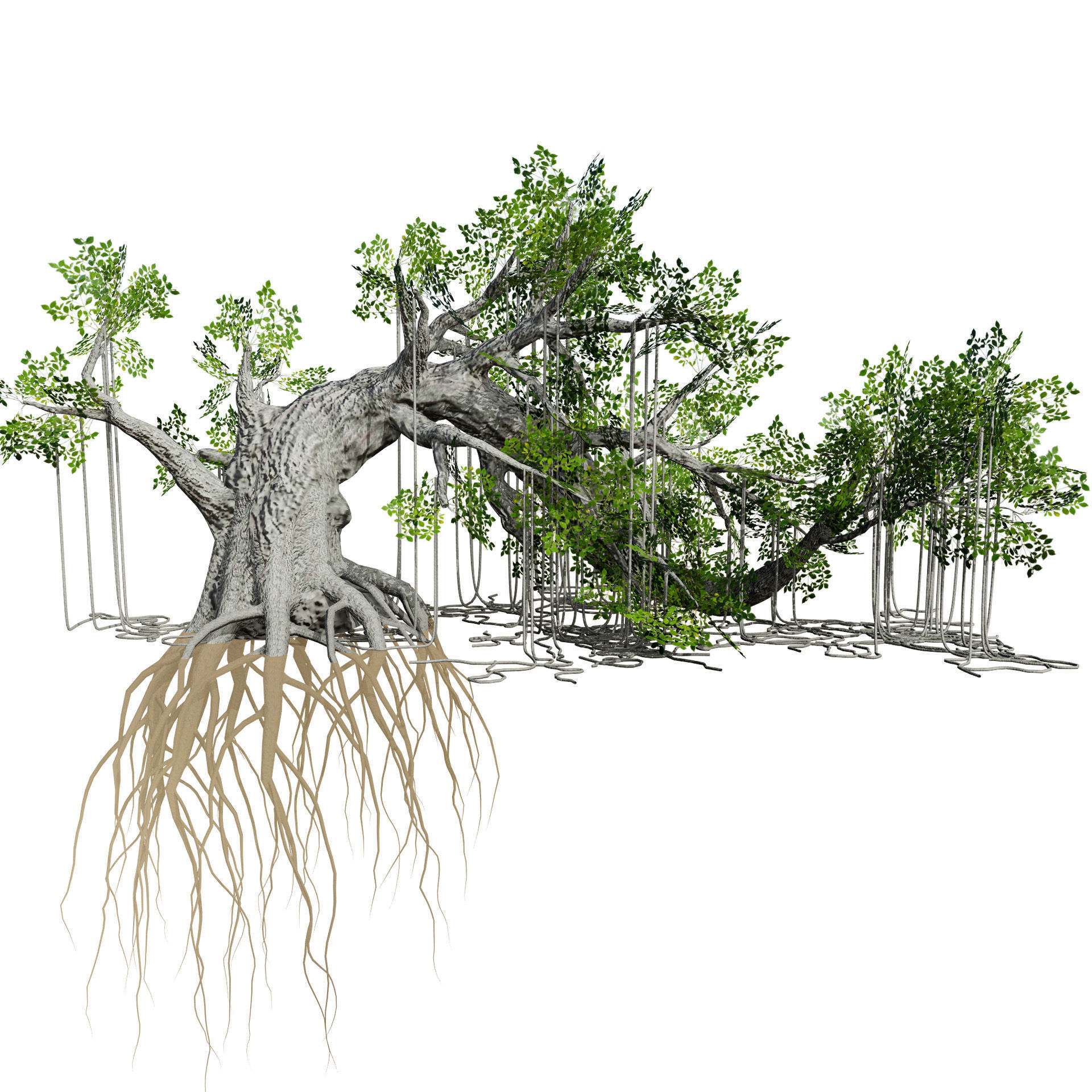 Rigged Jungle Tree 3D Model Low-poly 3D model_6