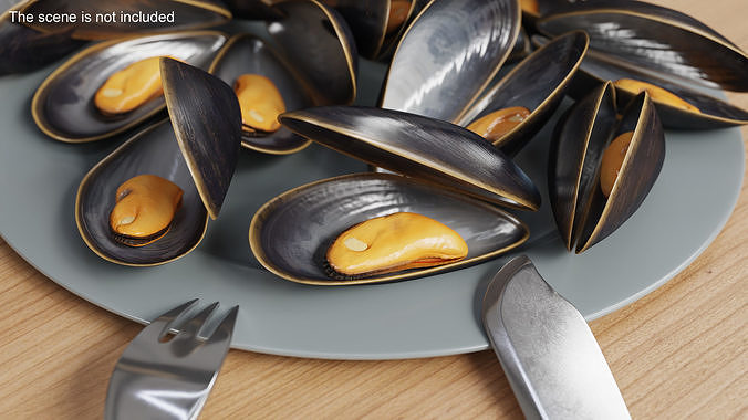 Pile of Boiled Mussels 3D model 2