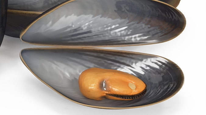 Pile of Boiled Mussels 3D model 7