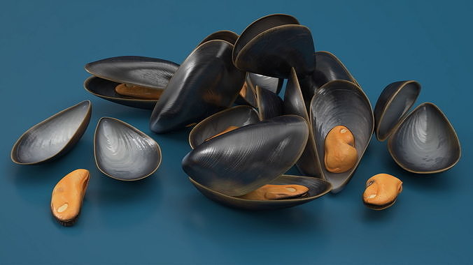 Pile of Boiled Mussels 3D model 4
