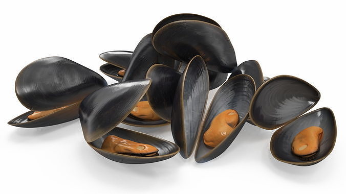 Pile of Boiled Mussels 3D model 5