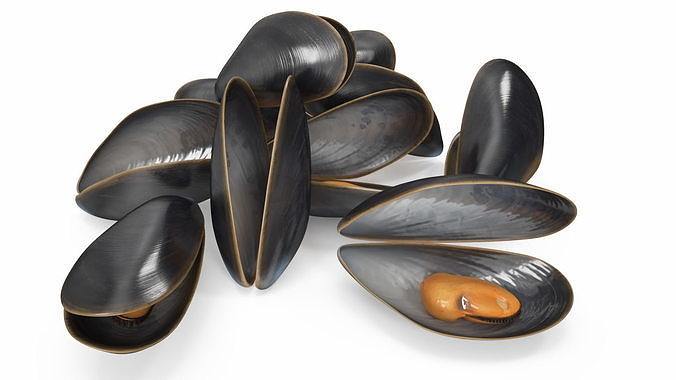 Pile of Boiled Mussels 3D model 6
